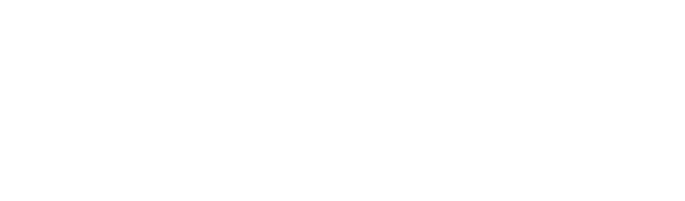 Madison Services Group, Inc.